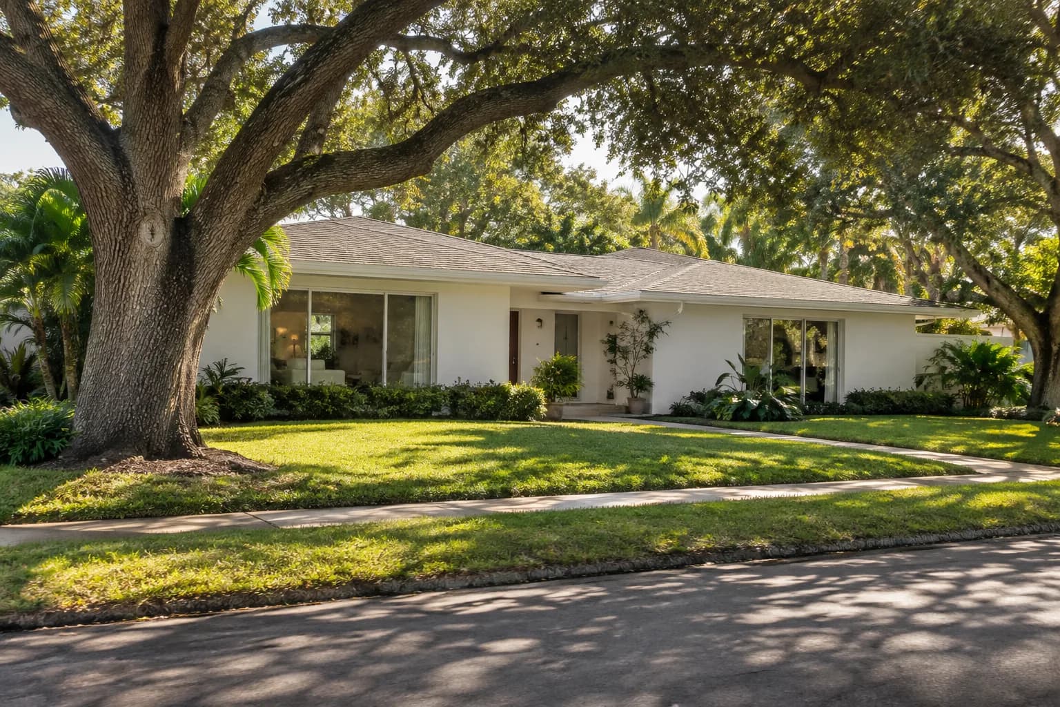 A Coral Springs home under mature shade trees with clean windows