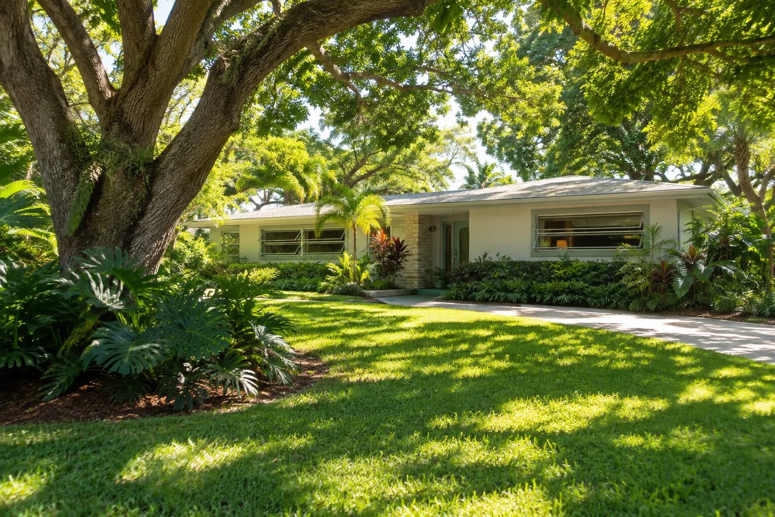 A ranch home in Oakland Park under mature shade trees
