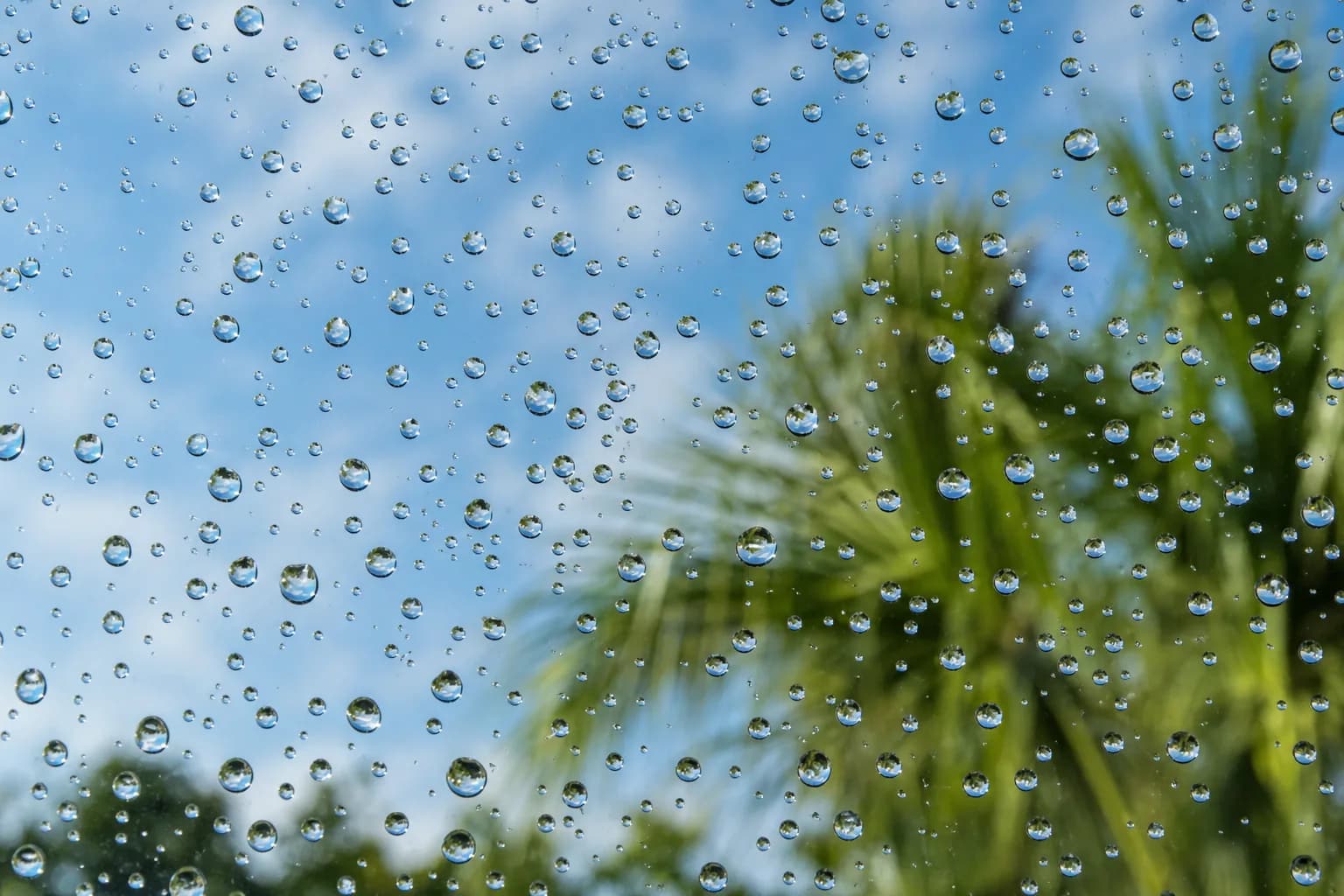 Water beading on treated glass